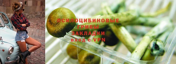 mdpv Богородицк