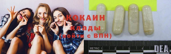 гашик Богородск