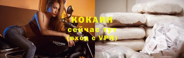 mdpv Богородицк