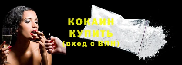 гашик Богородск