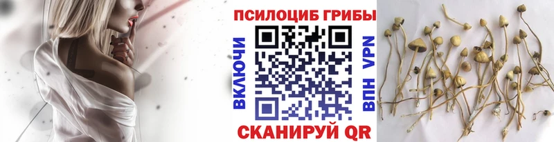 Купить закладки  Ухта  Псилоцибиновые грибы прущие грибы 